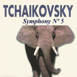 Symphony No. 5 in E Minor, Op. 64: IV. Finale. Andante maestoso - Allegro vivace