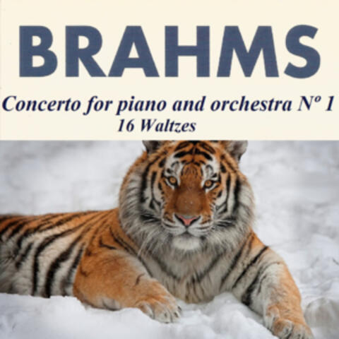 Brahms - Concerto for piano and orchestra Nº 1 - 16 Waltzes