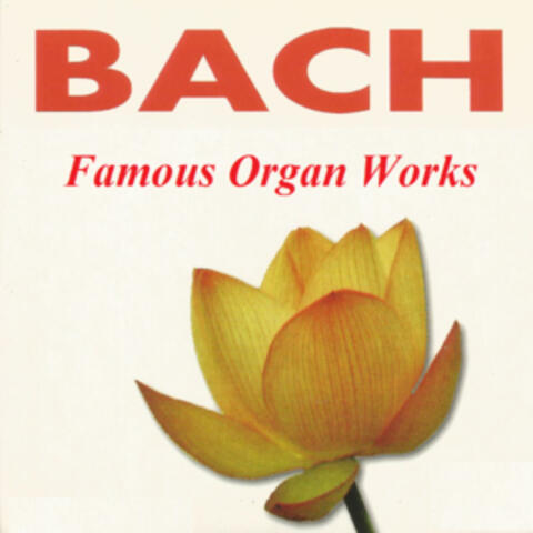 Bach - Famous Organ Works