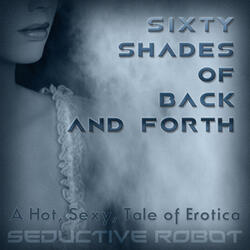 Sixty Shades of Back and Forth (A Hot, Sexy Tale of Erotica)