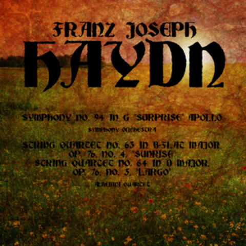 Franz Joseph Haydn: Surprise, Sunrise & Largo