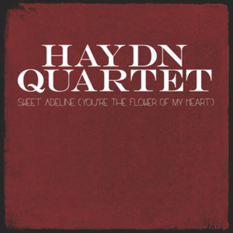 Haydn Quartet