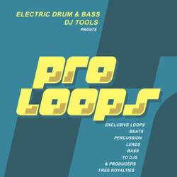 Electric Drum & Bass Lead 2 175 (Tool 8)