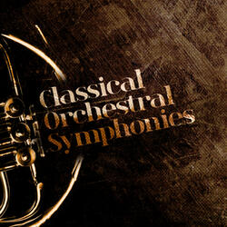 Symphony No. 9 in D Minor, Op. 125, "Choral": IV. Ode To Joy