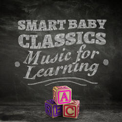 Orchestral Suite No. 3 in D Major, BWV 1068: II. Air