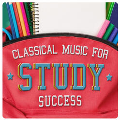 Orchestral Suite No. 3 in D Major, BWV 1068: II. Air