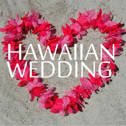 My Hawaiian Souvenirs