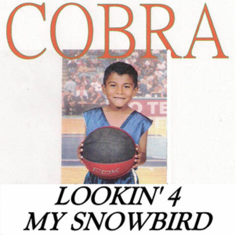 Lookin' 4 My Snowbird