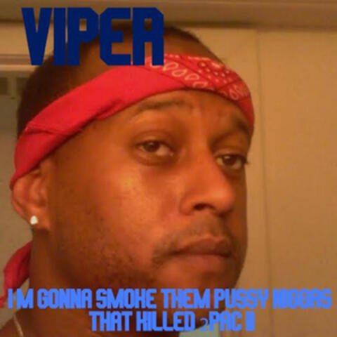 I'm Gonna Smoke Them Pussy Niggas That Killed 2pac II