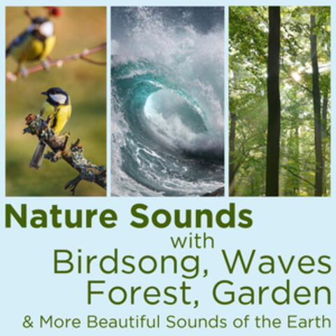 Nature Sounds with Birdsong, Waves, Forest, Garden, And More Beautiful Sounds of the Earth!