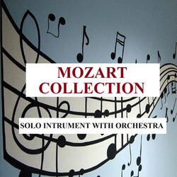 Flute Concerto in D Major, K. 314: II. Adagio non troppo
