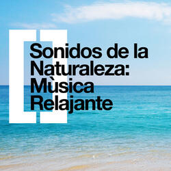 Nocturne No. 8 in D-Flat Major, Op. 27 No. 2