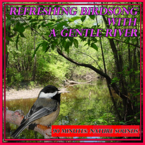 Refreshing Birdsong with a Gentle River: 90 Minutes: Nature Sounds