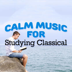 Orchestral Suite No. 3 in D Major, BWV 1068: II. Air