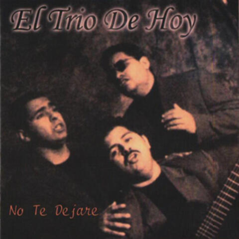 No Te Dejare