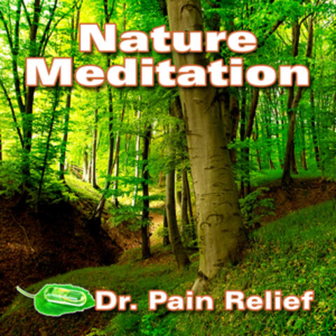Nature Meditation (Nature Sounds That Are the Doctor's Prescription for Pain Relief)