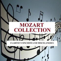 Serenade in D Major, K. 250: I. Allegro maestoso