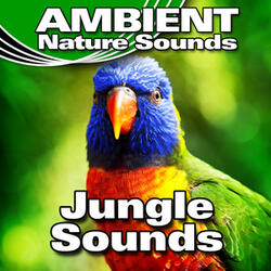 Whistling and Chattering Jungle Background with Insects