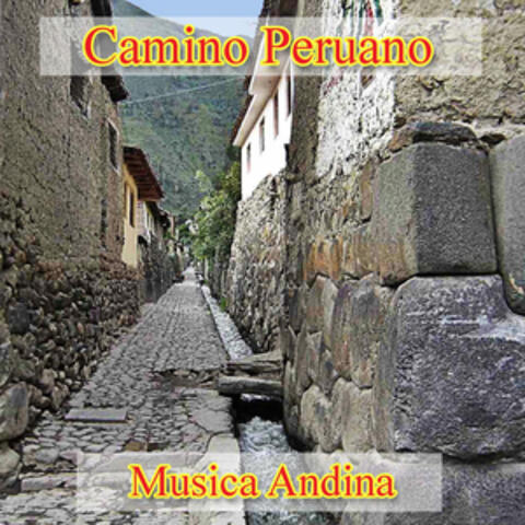 Camino Peruano - Musica Andina