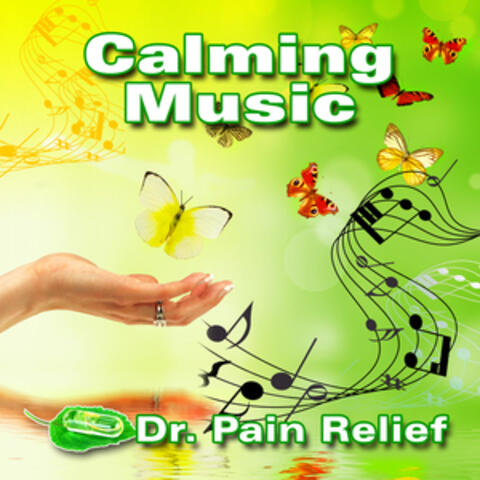 Calming Music (Music That Is the Doctor's Prescription for Pain Relief)