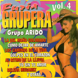 Furia 4 Selena Megamix: Amor Prohibido / La Carcacha / No Debes Jugar / Como la Flor / Bidi Bidi Bom Bom / Baila Mi Cumbia