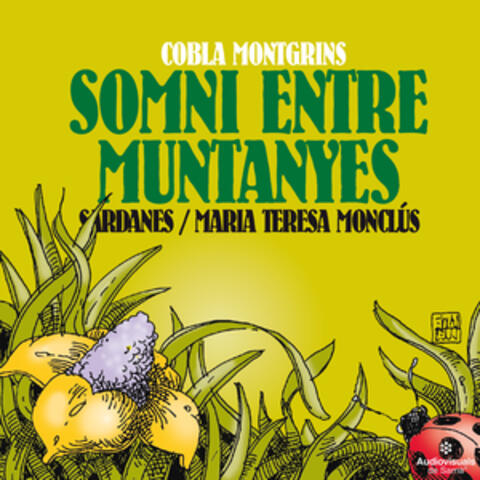 Somni Entre Muntanyes