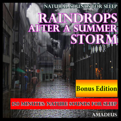 Natural Sounds for Sleep: Raindrops After a Summer Storm: Bonus Edition