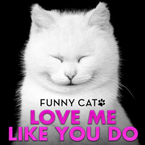 Funny Cats