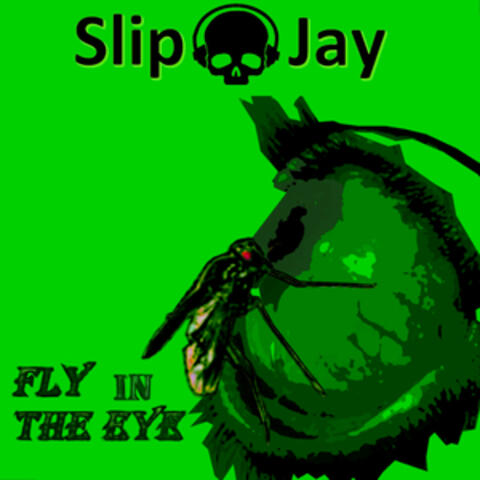Fly in the Eye