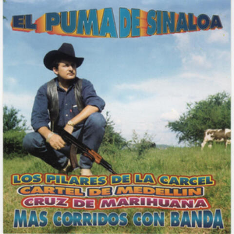 El Puma de Sinaloa