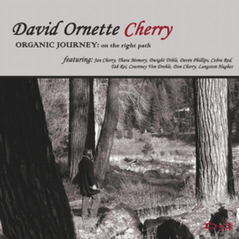 Organic Journey: On the Right Path