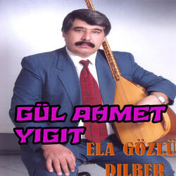 Kar Yağar Saçaklara