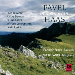 Trois silences déchirés (In Memoriam Pavel Haas): I. Part I