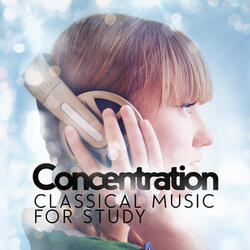 Brandenburg Concerto No. 2 in F Major, BWV 1047: II. Andante