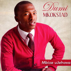 Wakhathazeka Ubaba