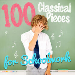 Concerto for Oboe, Strings & Continuo in E Minor, TWV 51e1: III. Largo