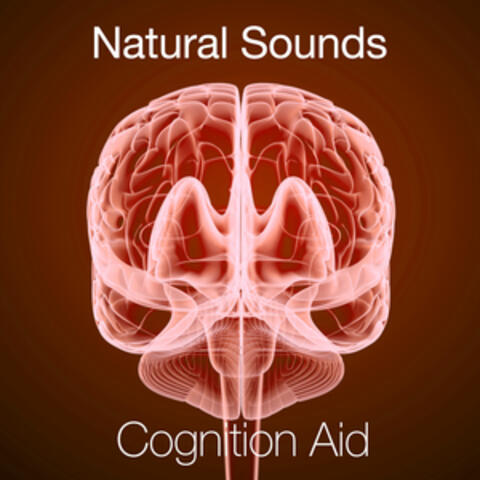 Natural Sounds - Cognition Aid