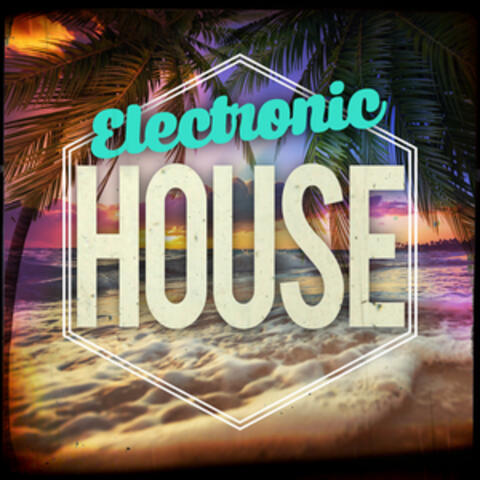 Electronic House