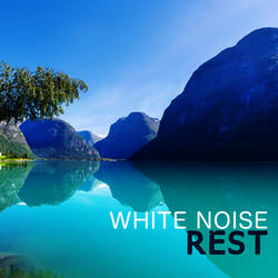 White Noise: Ebb