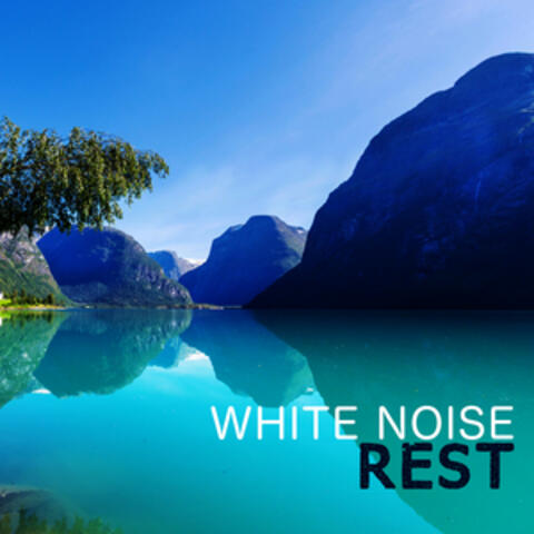 The White Noises