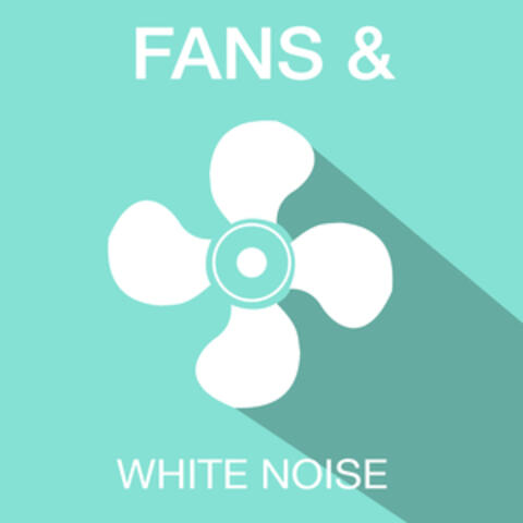Fans & White Noise