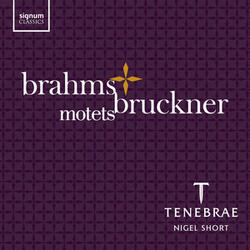 Ein deutsches Requiem, Op. 45: How lovely are thy dwellings