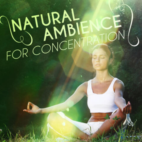 Natural Ambience for Concentration