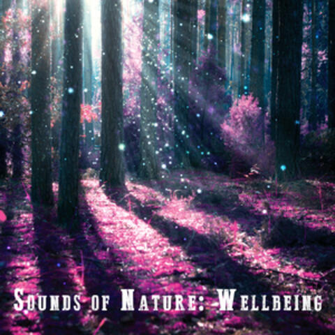 Sounds of Nature: Wellbeing