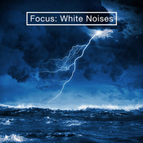 Focus: White Noises