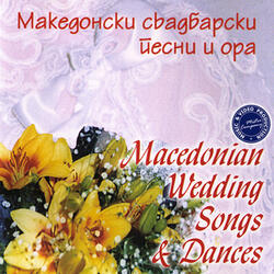 Vrana Konja Javam Jas