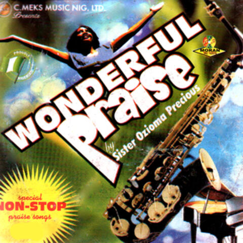 Wonderful Praise