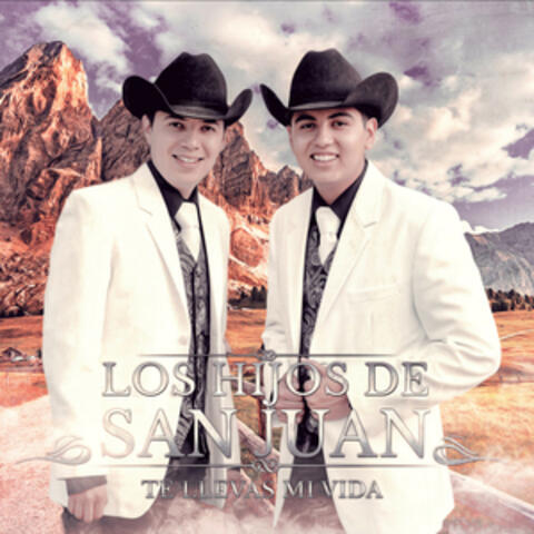 Te Llevas Mi Vida