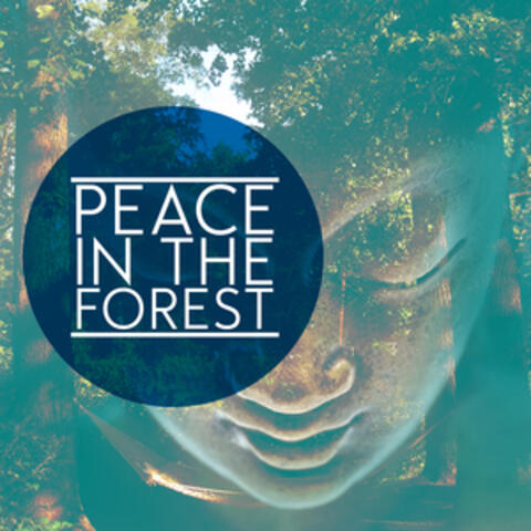 Peace in the Forest