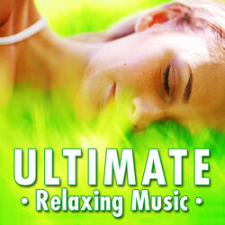 A Chorus of Sighs for Deep Meditation, Contemplation and an Open Mind